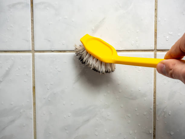 Best Water Damage Restoration  in Thornton, CO