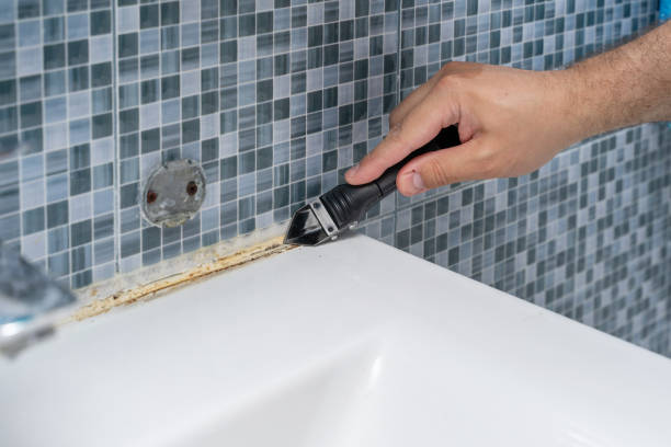 Best Commercial Mold Removal  in Thornton, CO