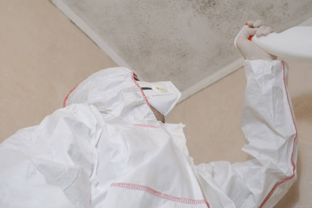 Best Mold Remediation  in Thornton, CO